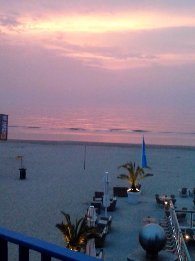 זנדוורט Studio South Beach With Garden And Free Parking מראה חיצוני תמונה